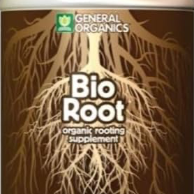 Bio Root for Tulsi