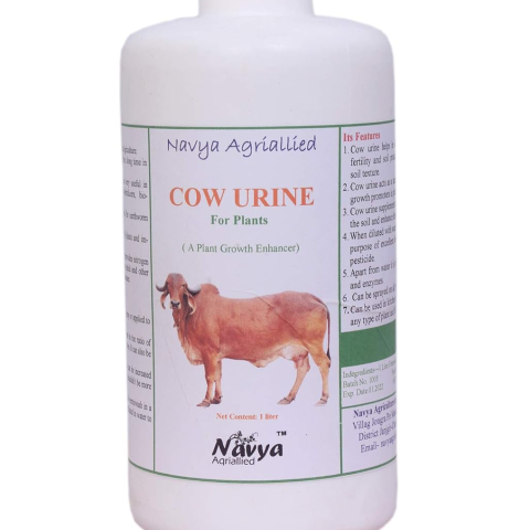 Cow Urine for Plant