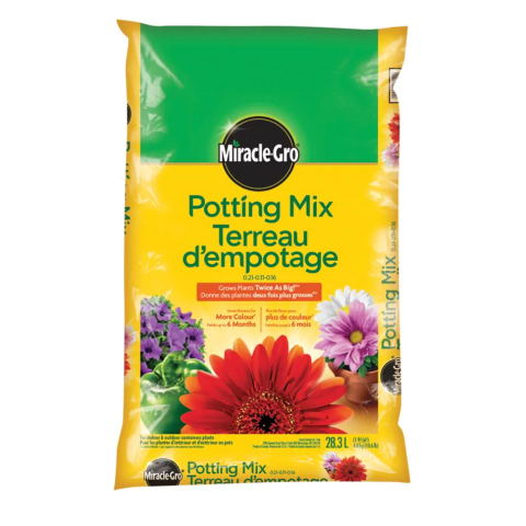 Miracle-Gro indoor potting soil for Tulsi